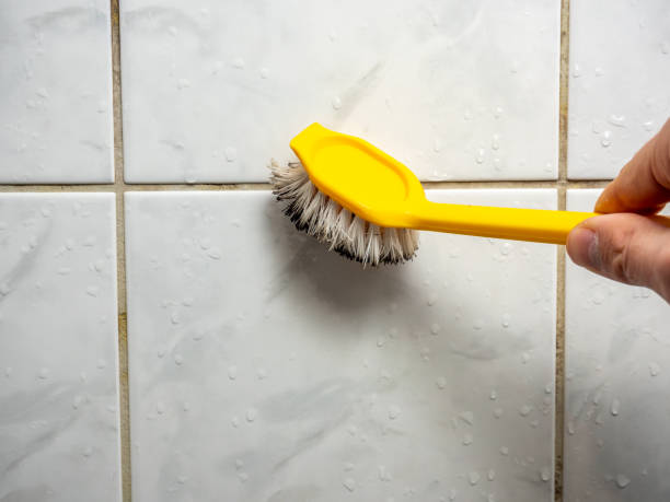 Best Residential Mold Remediation in Coosada, AL