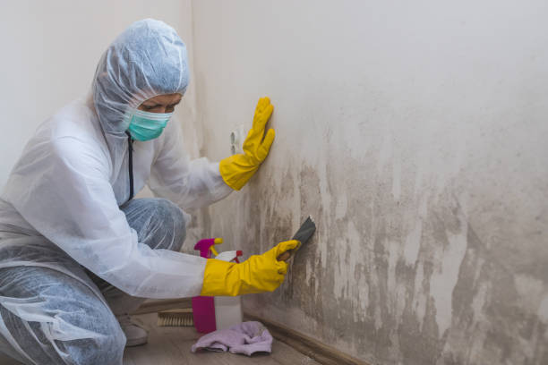Best HVAC Mold Remediation in Coosada, AL