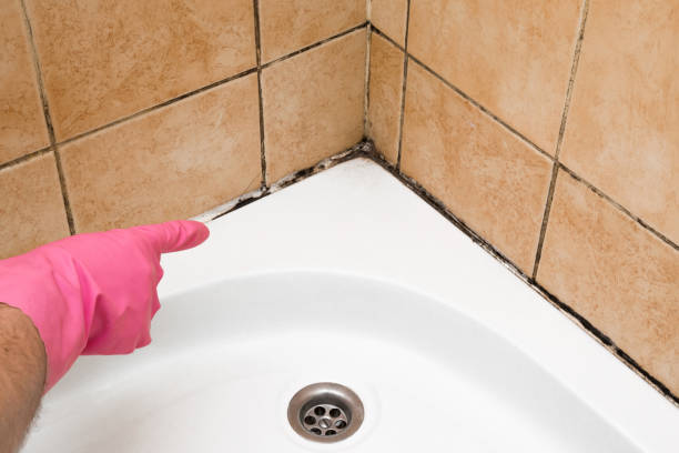 Trusted Coosada, AL Mold Remediation Experts